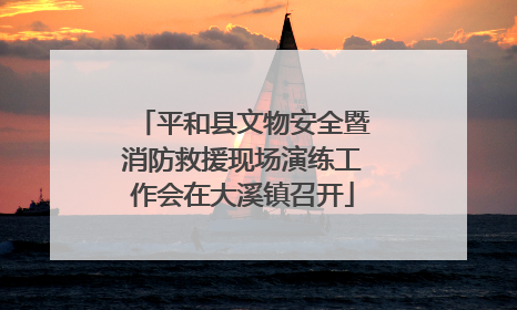 平和县文物安全暨消防救援现场演练工作会在大溪镇召开