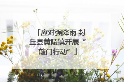 应对强降雨 封丘县黄陵镇开展“敲门行动”