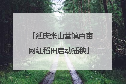 延庆张山营镇百亩网红稻田启动插秧