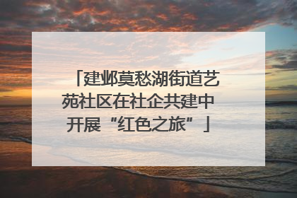建邺莫愁湖街道艺苑社区在社企共建中开展“红色之旅”