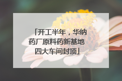开工半年，华纳药厂原料药新基地四大车间封顶