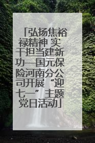弘扬焦裕禄精神 实干担当建新功—国元保险河南分公司开展“迎七一”主题党日活动