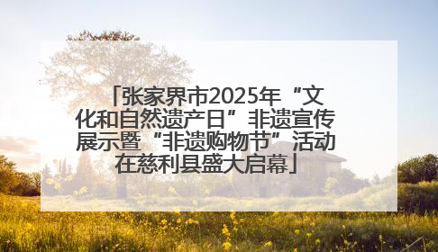 张家界市2025年“文化和自然遗产日”非遗宣传展示暨“非遗购物节”活动在慈利县盛大启幕