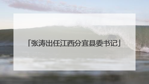 张涛出任江西分宜县委书记