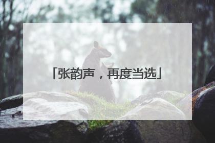 张韵声，再度当选