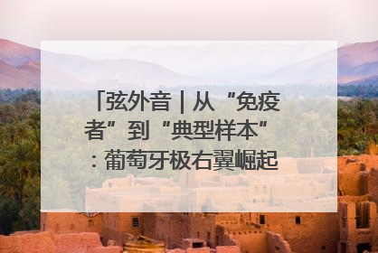 弦外音｜从“免疫者”到“典型样本”：葡萄牙极右翼崛起背后的欧洲困局