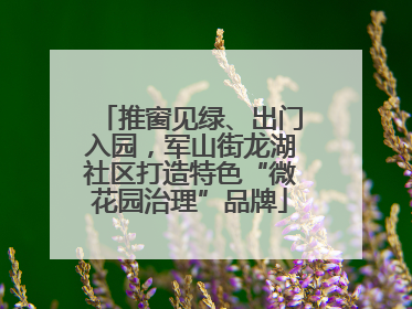 推窗见绿、出门入园，军山街龙湖社区打造特色“微花园治理”品牌