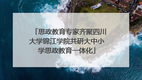 思政教育专家齐聚四川大学锦江学院共研大中小学思政教育一体化