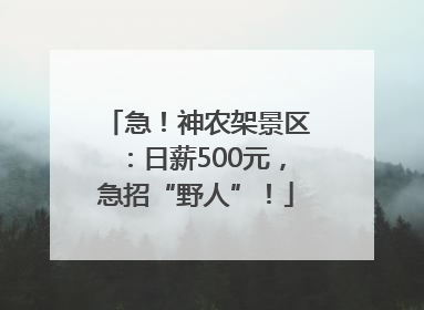 急！神农架景区：日薪500元，急招“野人”！
