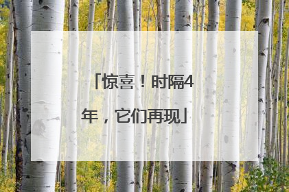 惊喜！时隔4年，它们再现