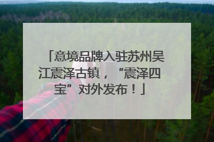 意境品牌入驻苏州吴江震泽古镇，“震泽四宝”对外发布！