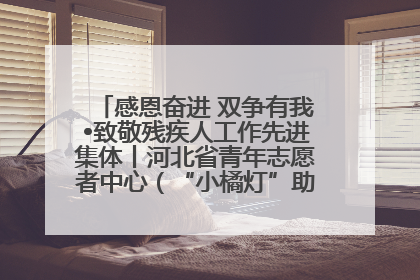 感恩奋进 双争有我•致敬残疾人工作先进集体丨河北省青年志愿者中心（“小橘灯”助残接力计划实施团队）：用温暖陪伴，守护特殊孩子成长