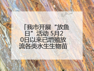 我市开展“放鱼日”活动 5月20日以来已增殖放流各类水生生物苗种5.1亿单位
