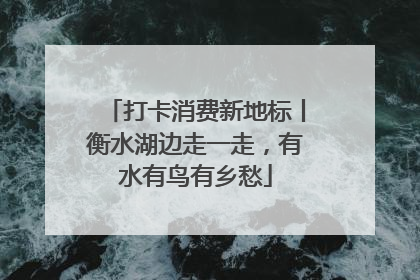 打卡消费新地标丨衡水湖边走一走，有水有鸟有乡愁