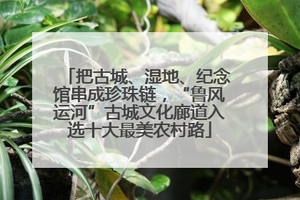 把古城、湿地、纪念馆串成珍珠链，“鲁风运河”古城文化廊道入选十大最美农村路