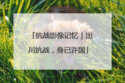 抗战影像记忆｜出川抗战，身已许国