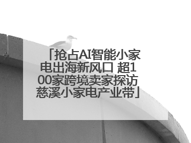 抢占AI智能小家电出海新风口 超100家跨境卖家探访慈溪小家电产业带