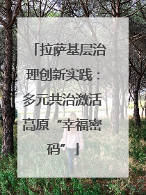 拉萨基层治理创新实践：多元共治激活高原“幸福密码”