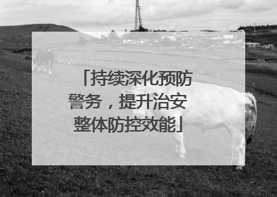 持续深化预防警务，提升治安整体防控效能