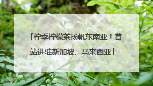 柠季柠檬茶扬帆东南亚！首站进驻新加坡、马来西亚
