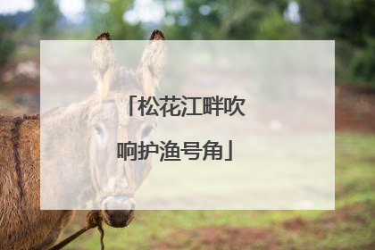 松花江畔吹响护渔号角