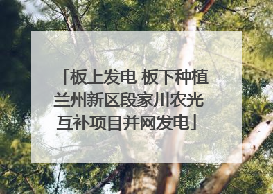 板上发电 板下种植 兰州新区段家川农光互补项目并网发电