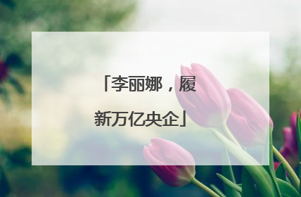 李丽娜，履新万亿央企