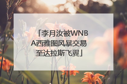 李月汝被WNBA西雅图风暴交易至达拉斯飞翼