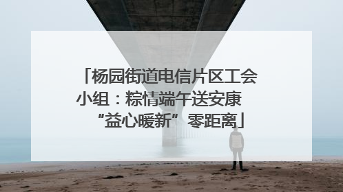 杨园街道电信片区工会小组：粽情端午送安康 “益心暖新”零距离