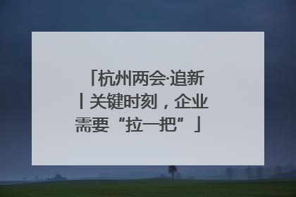 杭州两会·追新丨关键时刻，企业需要“拉一把”