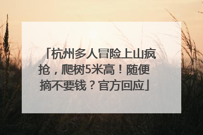 杭州多人冒险上山疯抢，爬树5米高！随便摘不要钱？官方回应
