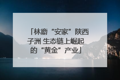 林麝“安家”陕西子洲 生态链上崛起的“黄金”产业