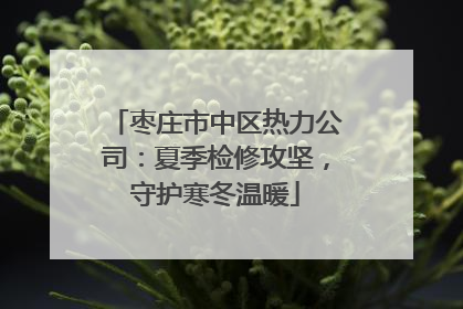 枣庄市中区热力公司：夏季检修攻坚，守护寒冬温暖