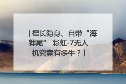 擅长隐身、自带“海狸尾” 彩虹-7无人机究竟有多牛？