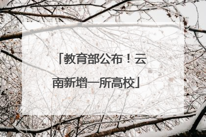 教育部公布！云南新增一所高校