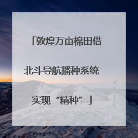 敦煌万亩棉田借北斗导航播种系统实现“精种”