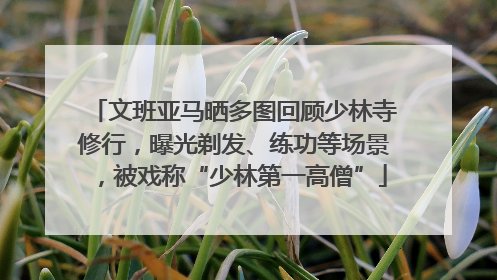 文班亚马晒多图回顾少林寺修行，曝光剃发、练功等场景，被戏称“少林第一高僧”