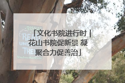 文化书院进行时｜花山书院促新景 凝聚合力促善治