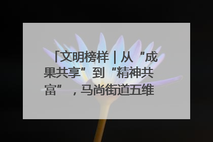 文明榜样｜从“成果共享”到“精神共富”，马尚街道五维聚力育文明