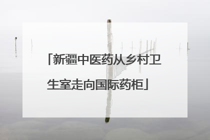 新疆中医药从乡村卫生室走向国际药柜