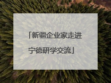 新疆企业家走进宁德研学交流
