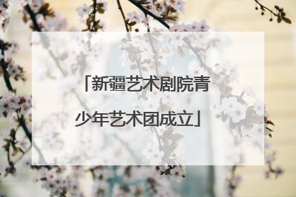 新疆艺术剧院青少年艺术团成立