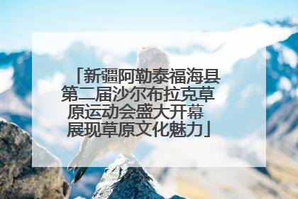 新疆阿勒泰福海县第二届沙尔布拉克草原运动会盛大开幕 展现草原文化魅力