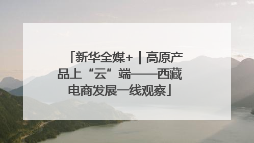 新华全媒+｜高原产品上“云”端——西藏电商发展一线观察