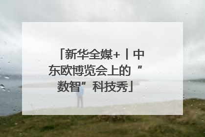 新华全媒+丨中东欧博览会上的“数智”科技秀