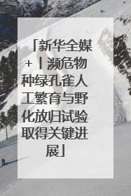新华全媒+丨濒危物种绿孔雀人工繁育与野化放归试验取得关键进展