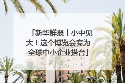 新华鲜报丨小中见大！这个博览会专为全球中小企业搭台