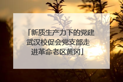 新质生产力下的党建 武汉校促会党支部走进革命老区黄冈