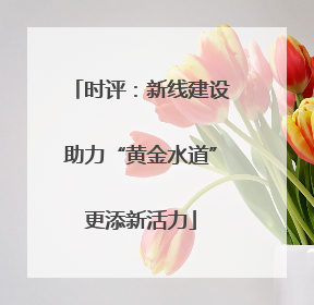 时评：新线建设助力“黄金水道”更添新活力