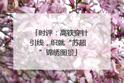 时评：高铁穿针引线，织就“苏超”锦绣图景